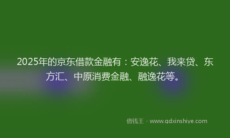 2025年的京东借款金融有：安逸花、我来贷、东方汇、中原消费金融、融逸花等。