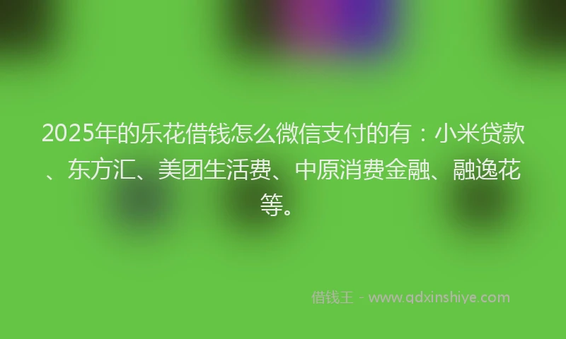 2025年的乐花借钱怎么微信支付的有：小米贷款、东方汇、美团生活费、中原消费金融、融逸花等。