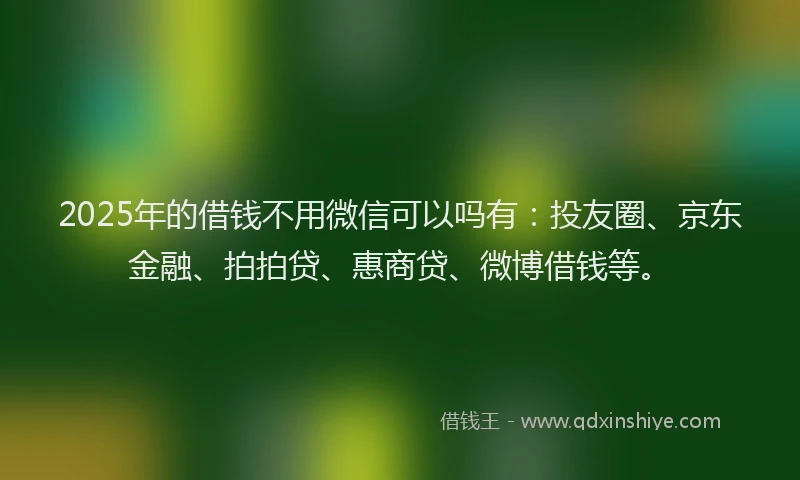 2025年的借钱不用微信可以吗有：投友圈、京东金融、拍拍贷、惠商贷、微博借钱等。