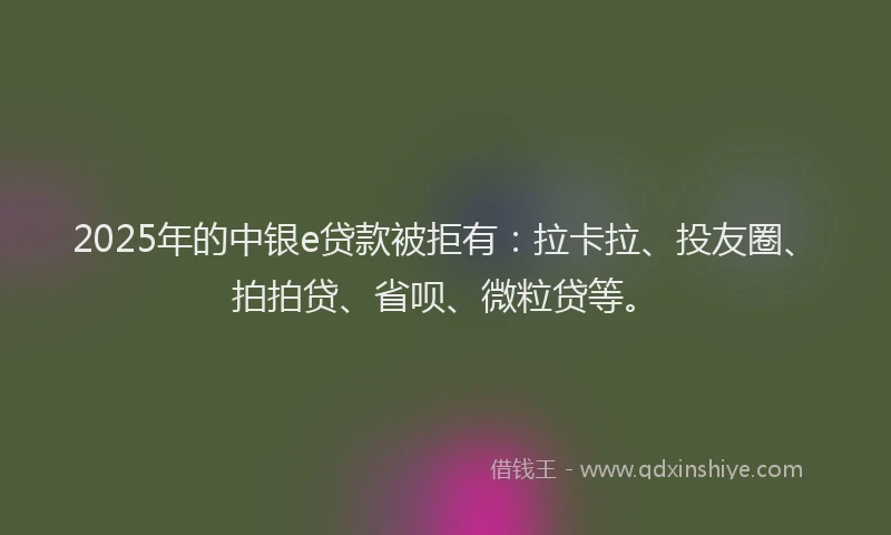 2025年的中银e贷款被拒有：拉卡拉、投友圈、拍拍贷、省呗、微粒贷等。