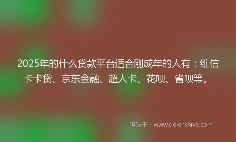 2025年的什么贷款平台适合刚成年的人有：维信卡卡贷、京东金融、超人卡、花呗、省呗等。
