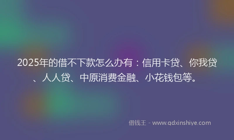 2025年的借不下款怎么办有：信用卡贷、你我贷、人人贷、中原消费金融、小花钱包等。