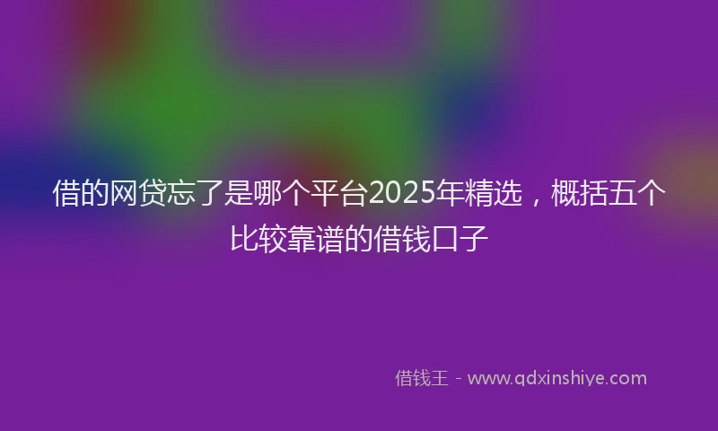 借的网贷忘了是哪个平台2025年精选，概括五个比较靠谱的借钱口子
