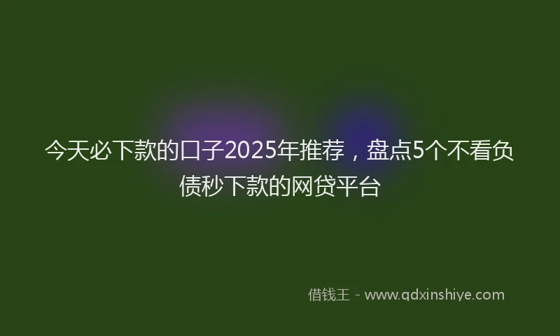 今天必下款的口子2025年推荐，盘点5个不看负债秒下款的网贷平台
