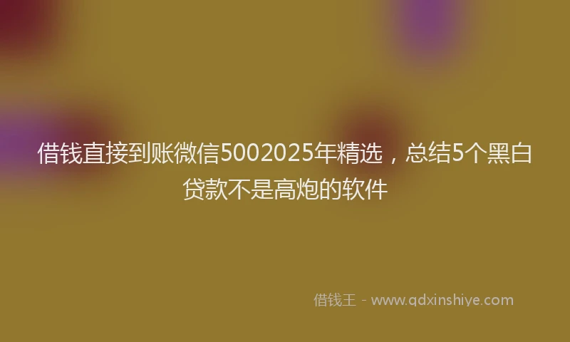 借钱直接到账微信5002025年精选，总结5个黑白贷款不是高炮的软件