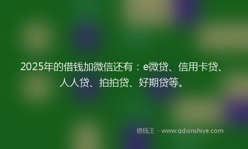 2025年的借钱加微信还有：e微贷、信用卡贷、人人贷、拍拍贷、好期贷等。