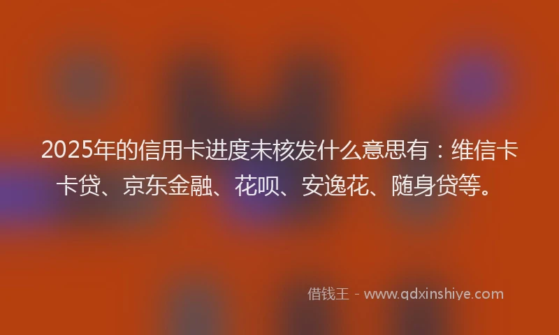 2025年的信用卡进度未核发什么意思有：维信卡卡贷、京东金融、花呗、安逸花、随身贷等。