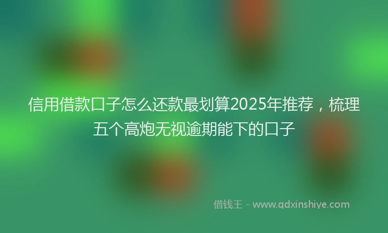 信用借款口子怎么还款最划算2025年推荐，梳理五个高炮无视逾期能下的口子