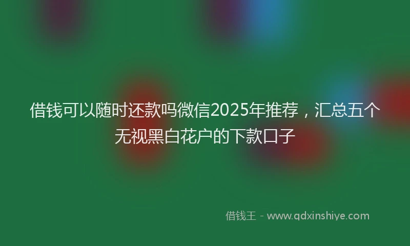 借钱可以随时还款吗微信2025年推荐，汇总五个无视黑白花户的下款口子