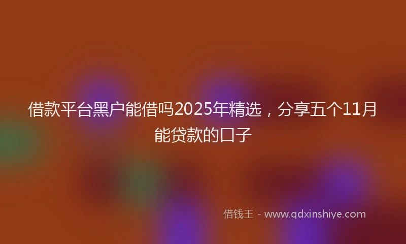 借款平台黑户能借吗2025年精选，分享五个11月能贷款的口子