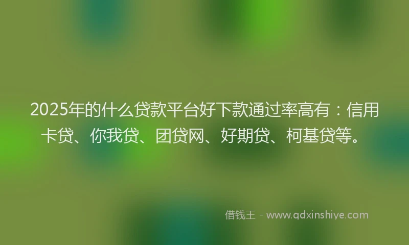 2025年的什么贷款平台好下款通过率高有：信用卡贷、你我贷、团贷网、好期贷、柯基贷等。