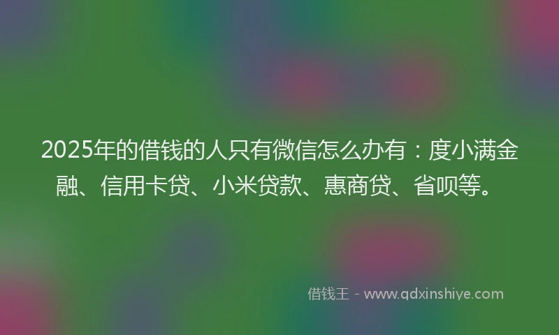 2025年的借钱的人只有微信怎么办有：度小满金融、信用卡贷、小米贷款、惠商贷、省呗等。