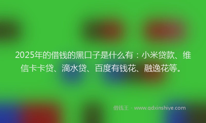 2025年的借钱的黑口子是什么有：小米贷款、维信卡卡贷、滴水贷、百度有钱花、融逸花等。