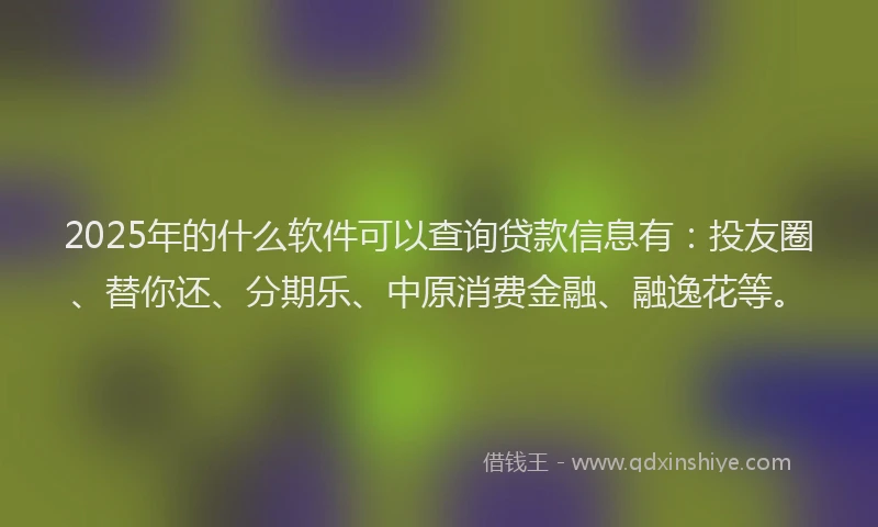 2025年的什么软件可以查询贷款信息有：投友圈、替你还、分期乐、中原消费金融、融逸花等。