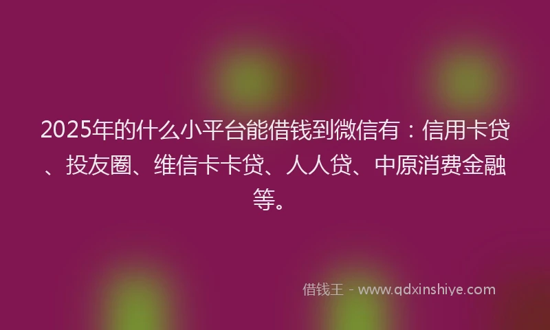 2025年的什么小平台能借钱到微信有：信用卡贷、投友圈、维信卡卡贷、人人贷、中原消费金融等。