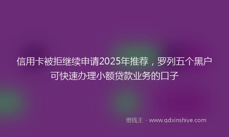 信用卡被拒继续申请2025年推荐，罗列五个黑户可快速办理小额贷款业务的口子