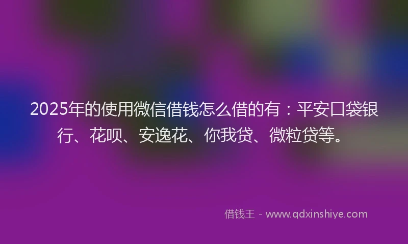 2025年的使用微信借钱怎么借的有：平安口袋银行、花呗、安逸花、你我贷、微粒贷等。