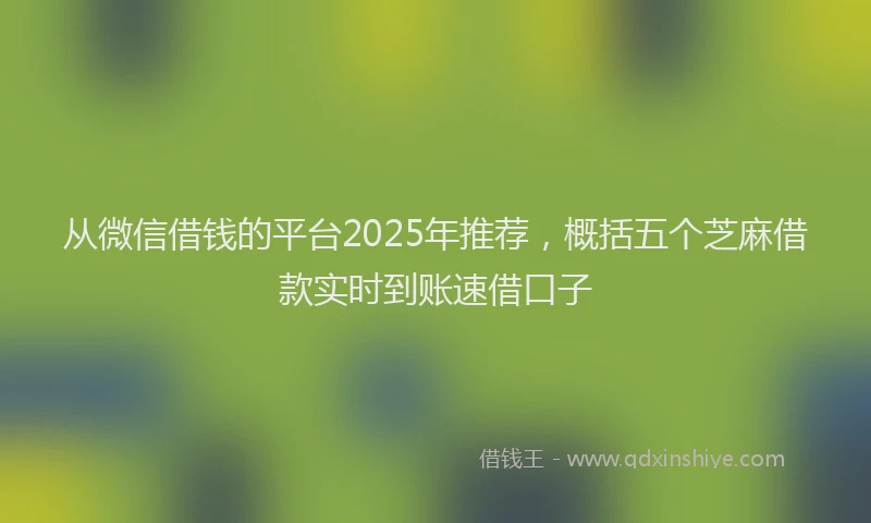 从微信借钱的平台2025年推荐，概括五个芝麻借款实时到账速借口子