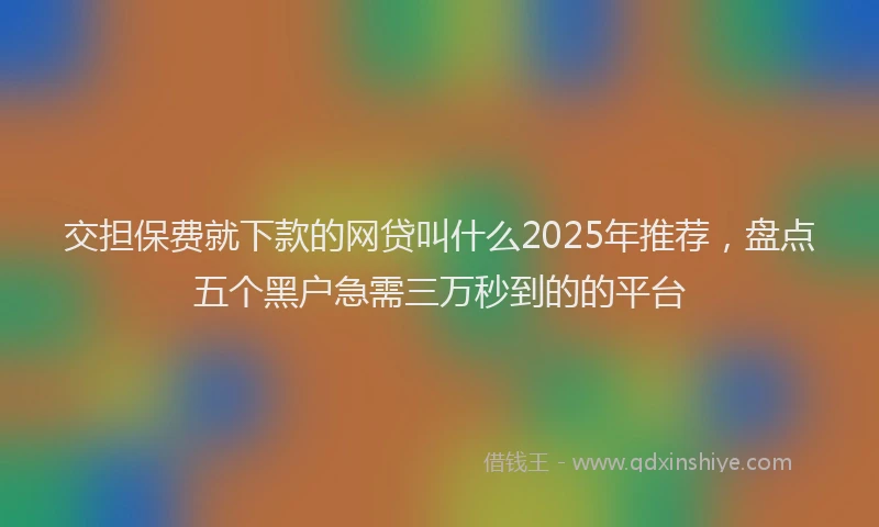 交担保费就下款的网贷叫什么2025年推荐，盘点五个黑户急需三万秒到的的平台