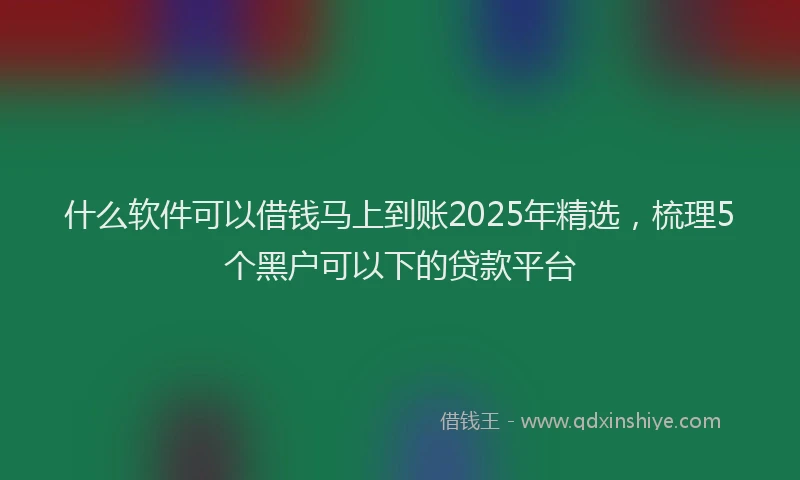 什么软件可以借钱马上到账2025年精选，梳理5个黑户可以下的贷款平台