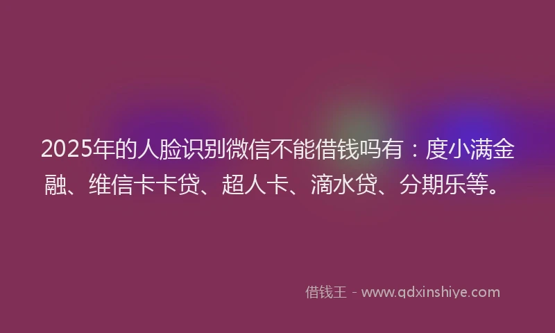 2025年的人脸识别微信不能借钱吗有：度小满金融、维信卡卡贷、超人卡、滴水贷、分期乐等。