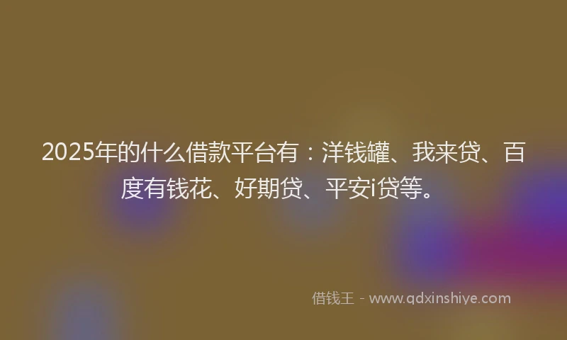 2025年的什么借款平台有：洋钱罐、我来贷、百度有钱花、好期贷、平安i贷等。