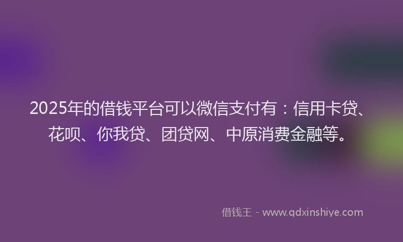 2025年的借钱平台可以微信支付有：信用卡贷、花呗、你我贷、团贷网、中原消费金融等。