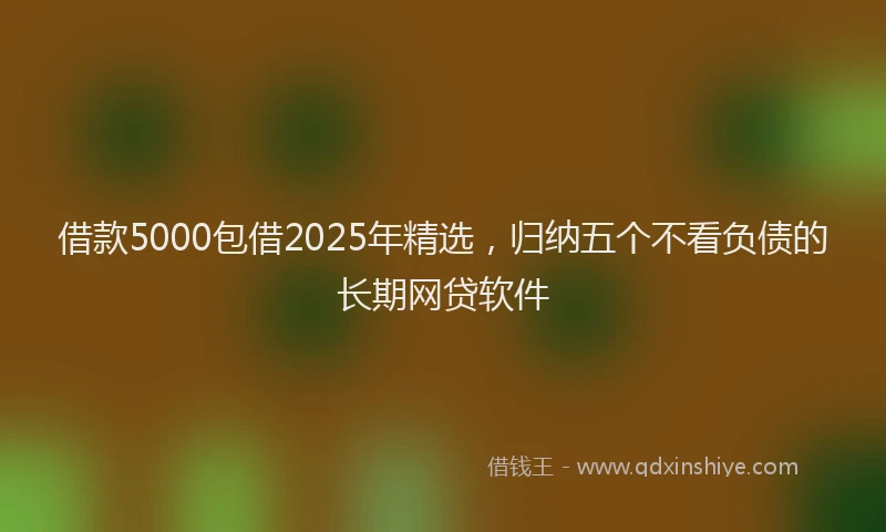 借款5000包借2025年精选，归纳五个不看负债的长期网贷软件