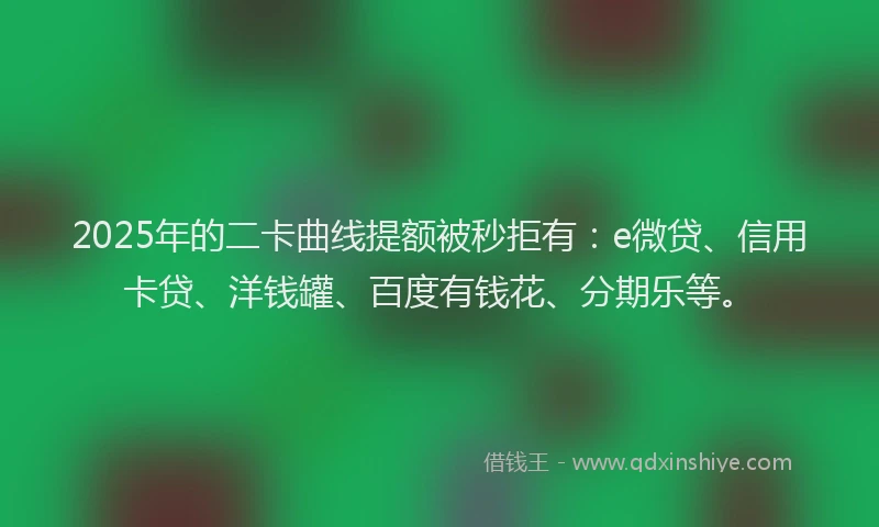 2025年的二卡曲线提额被秒拒有：e微贷、信用卡贷、洋钱罐、百度有钱花、分期乐等。