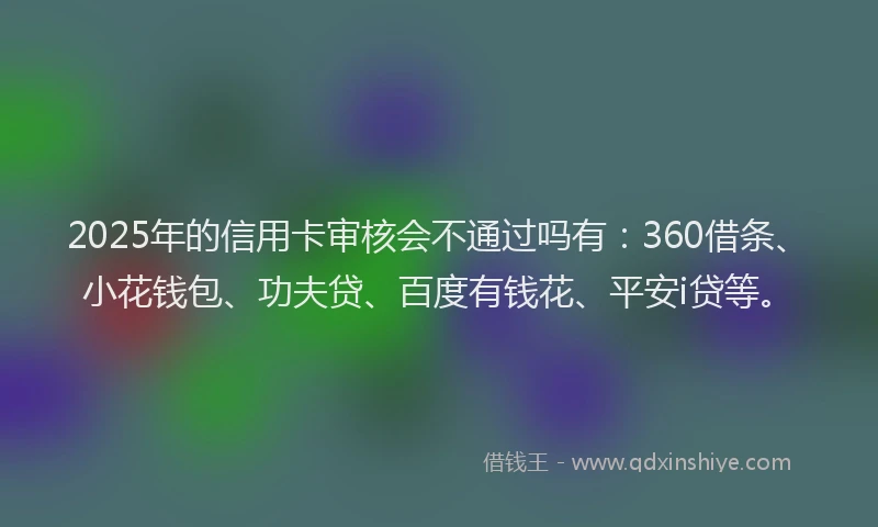 2025年的信用卡审核会不通过吗有：360借条、小花钱包、功夫贷、百度有钱花、平安i贷等。
