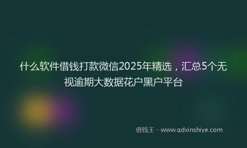 什么软件借钱打款微信2025年精选，汇总5个无视逾期大数据花户黑户平台