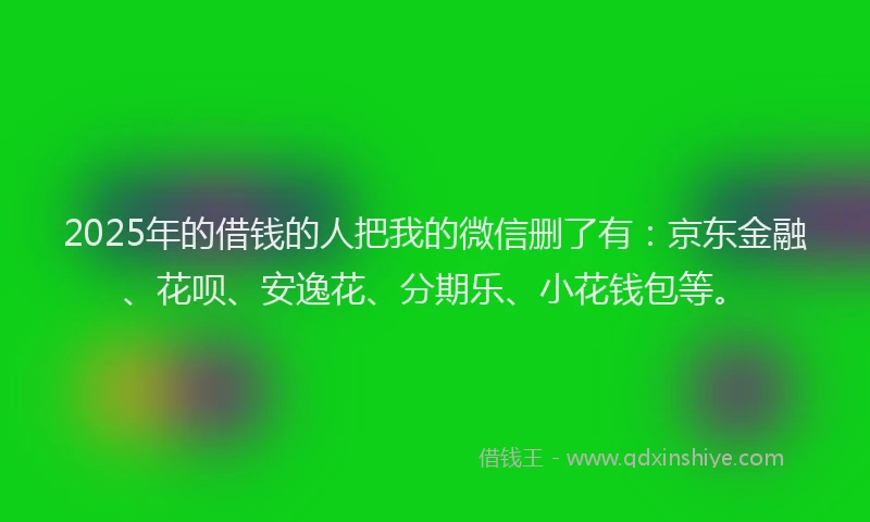 2025年的借钱的人把我的微信删了有：京东金融、花呗、安逸花、分期乐、小花钱包等。