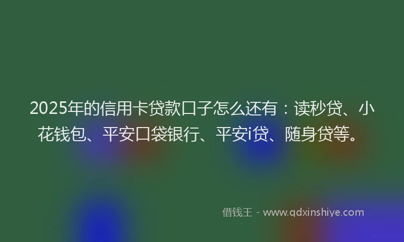 2025年的信用卡贷款口子怎么还有：读秒贷、小花钱包、平安口袋银行、平安i贷、随身贷等。