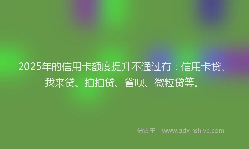 2025年的信用卡额度提升不通过有：信用卡贷、我来贷、拍拍贷、省呗、微粒贷等。