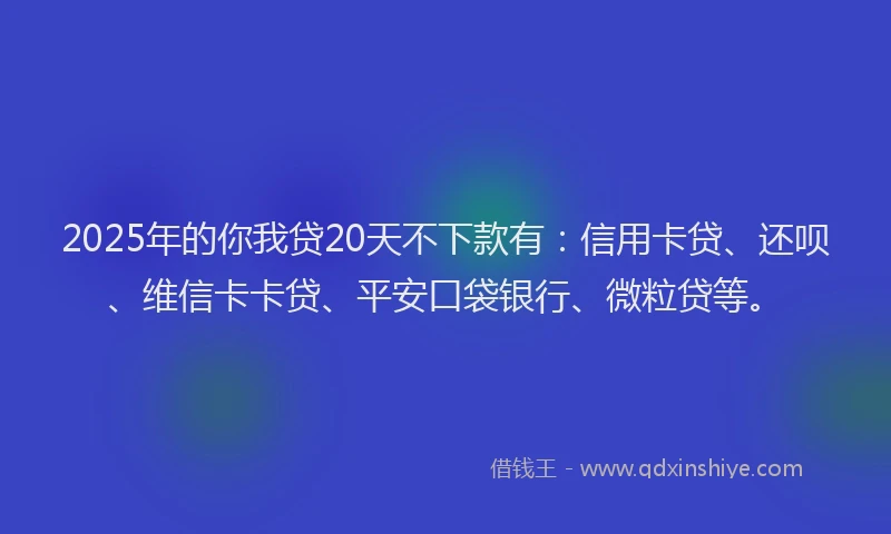 2025年的你我贷20天不下款有：信用卡贷、还呗、维信卡卡贷、平安口袋银行、微粒贷等。