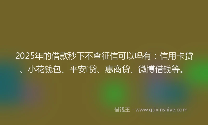 2025年的借款秒下不查征信可以吗有：信用卡贷、小花钱包、平安i贷、惠商贷、微博借钱等。