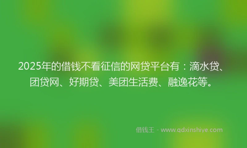2025年的借钱不看征信的网贷平台有：滴水贷、团贷网、好期贷、美团生活费、融逸花等。
