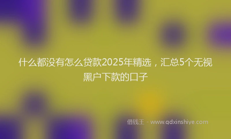 什么都没有怎么贷款2025年精选，汇总5个无视黑户下款的口子