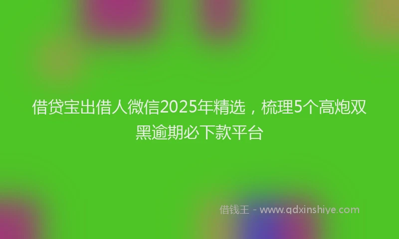 借贷宝出借人微信2025年精选，梳理5个高炮双黑逾期必下款平台