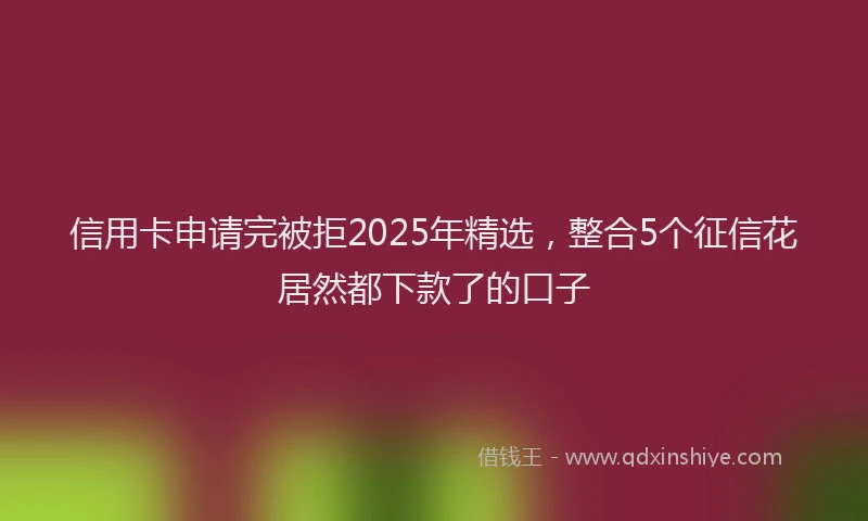 信用卡申请完被拒2025年精选，整合5个征信花居然都下款了的口子
