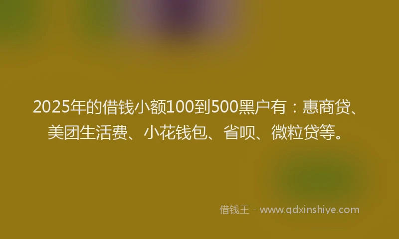 2025年的借钱小额100到500黑户有：惠商贷、美团生活费、小花钱包、省呗、微粒贷等。