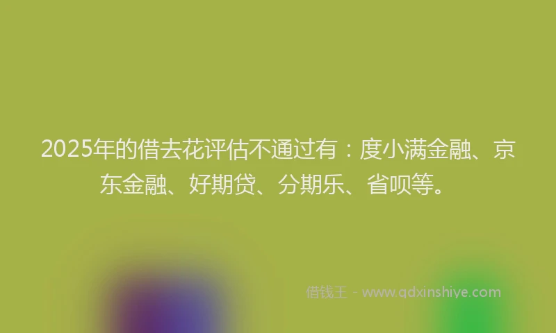 2025年的借去花评估不通过有：度小满金融、京东金融、好期贷、分期乐、省呗等。
