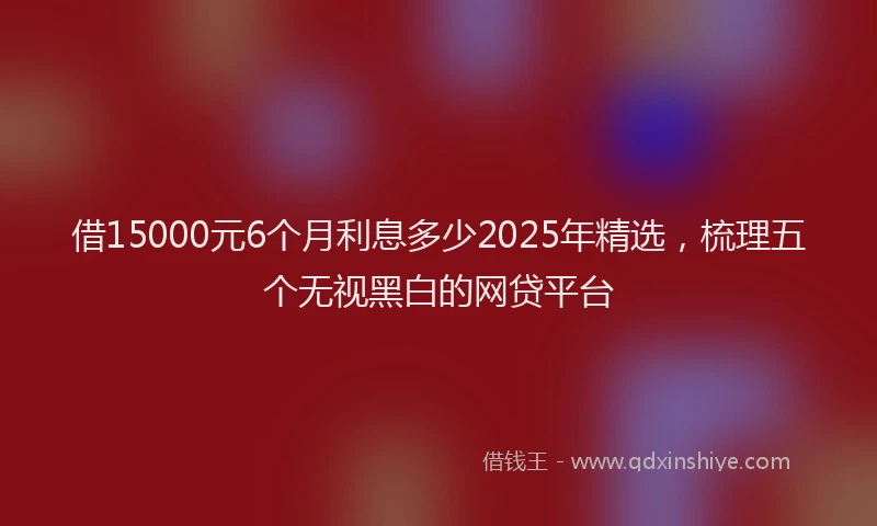 借15000元6个月利息多少2025年精选，梳理五个无视黑白的网贷平台
