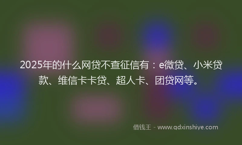 2025年的什么网贷不查征信有：e微贷、小米贷款、维信卡卡贷、超人卡、团贷网等。