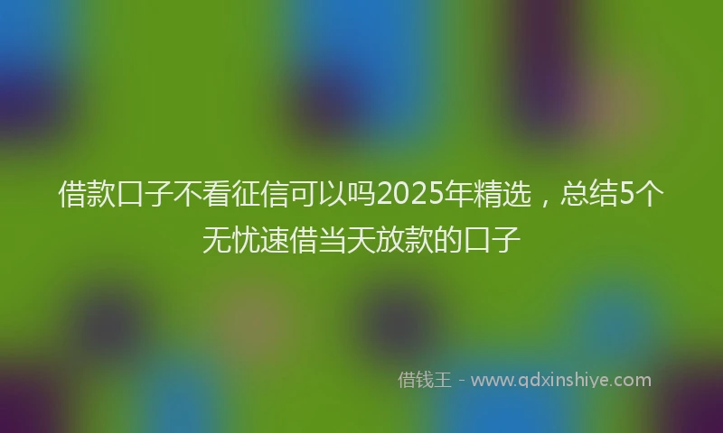 借款口子不看征信可以吗2025年精选，总结5个无忧速借当天放款的口子
