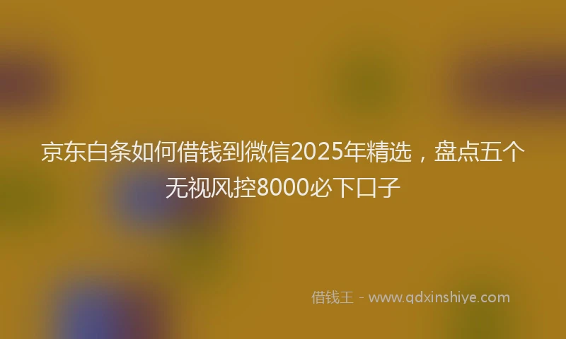 京东白条如何借钱到微信2025年精选，盘点五个无视风控8000必下口子