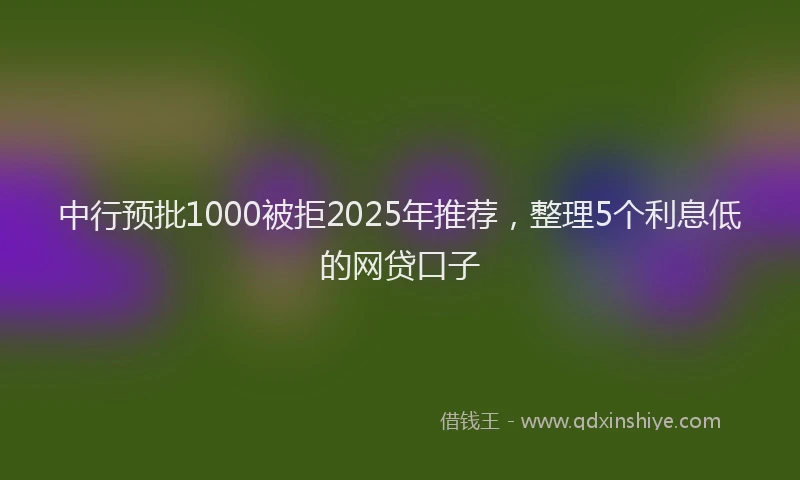 中行预批1000被拒2025年推荐，整理5个利息低的网贷口子