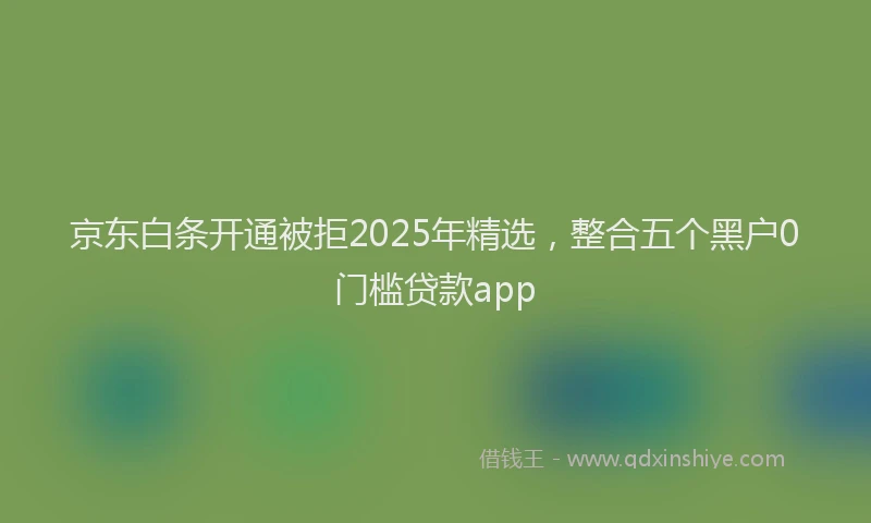 京东白条开通被拒2025年精选，整合五个黑户0门槛贷款app