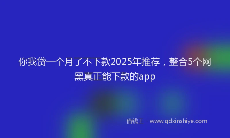 你我贷一个月了不下款2025年推荐，整合5个网黑真正能下款的app