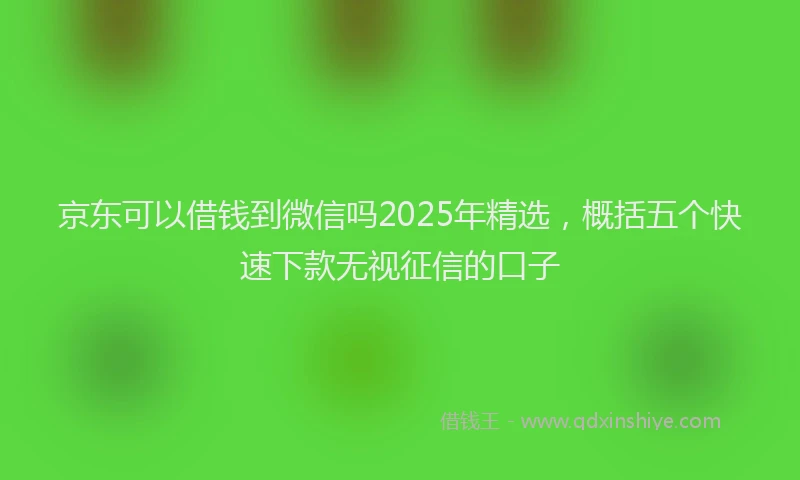 京东可以借钱到微信吗2025年精选，概括五个快速下款无视征信的口子